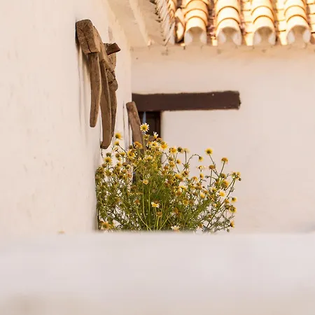 Santa Teresa, Casa Granada База отдыха *