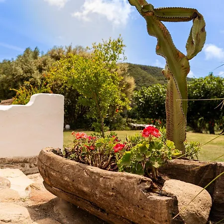 Santa Teresa, Casa Granada * Эстепона