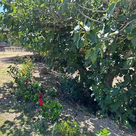 La Aldea De Santa Teresa ,casa Granada Holiday park Estepona