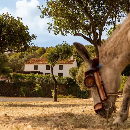Village de vacances Santa Teresa, Casa Granada Estepona