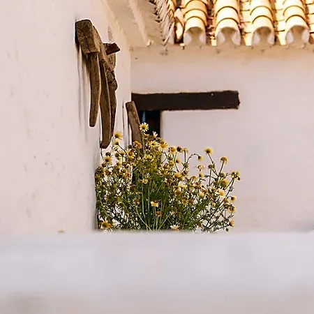 Santa Teresa, Casa Granada Estepona