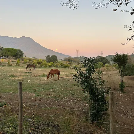 Finca Santa Teresa, Casa Granada Estepona