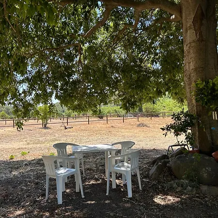 Finca Santa Teresa, Casa Granada